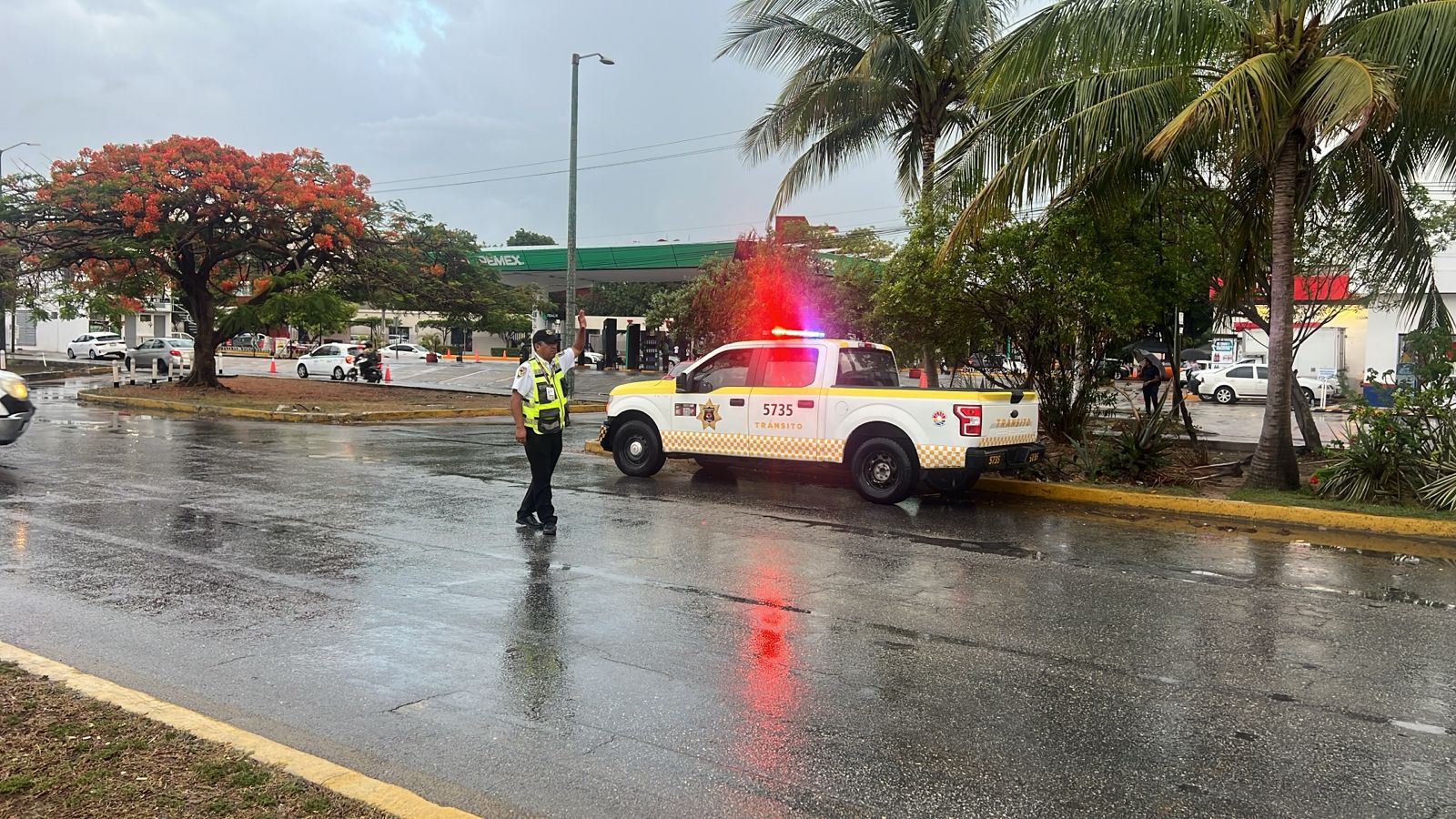 uploads/6/32/01 (1979).Jpeg